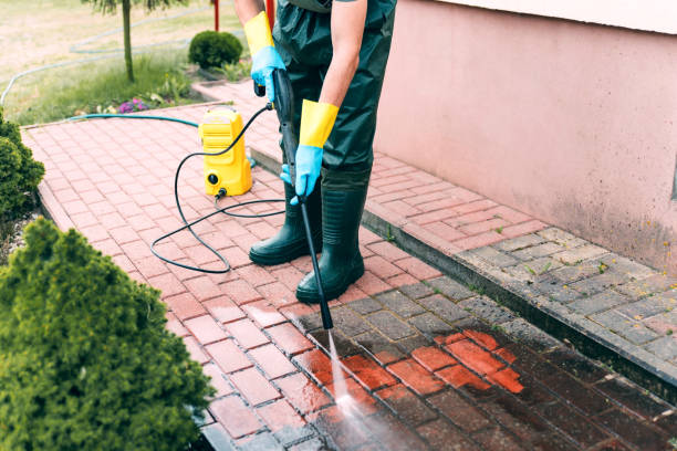 Roof Power Washing Services in Underwood Petersville, AL