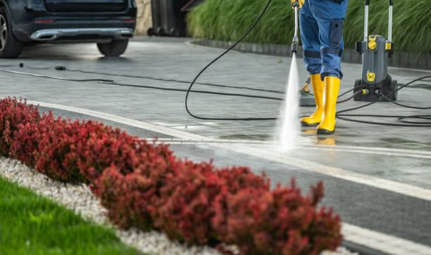 Best Power Washing Near Me  in Underwood Petersville, AL